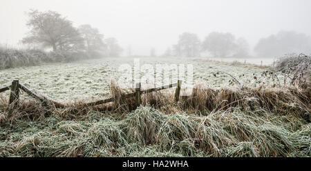 Frostigen Bereich mit Bäumen darüber hinaus nur sichtbar durch Nebel, aufgeschlüsselt Zaun im Vordergrund Stockfoto