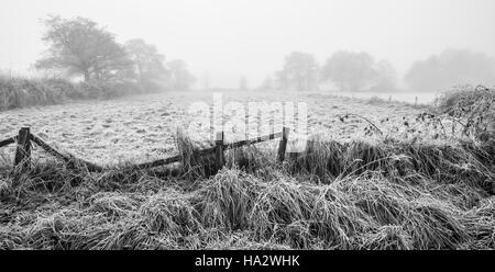 Frosty Feld mit Bäumen nicht nur sichtbar durch Nebel, aufgeschlüsselt Zaun im Vordergrund Stockfoto