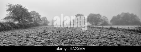 Frosty Feld mit Bäumen hinaus sichtbar durch den Nebel Stockfoto