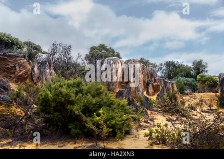 Kulturlandschaft, Perth, Western Australia, Australien Stockfoto