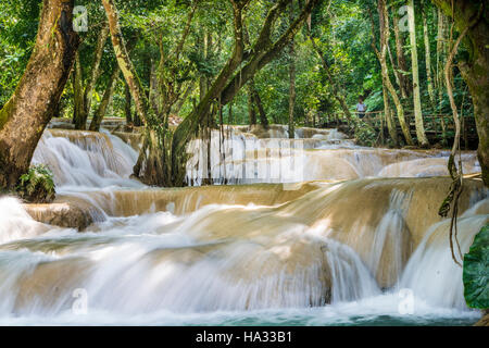 Tad Sae Wasserfälle in der Nähe von Luang Prabang in Laos Luang Namtha Provinz Stockfoto