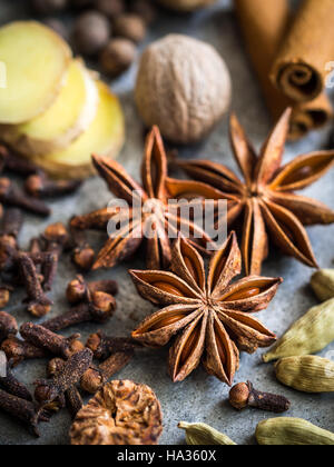 Gewürze für die Herstellung von Lebkuchengewürz mischen. Anis Stern im Fokus. Stockfoto