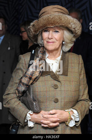 Die Herzogin von Cornwall besucht den 60. Betrieb des Hennessy Gold Cup in Newbury Racecourse in Newbury. Stockfoto