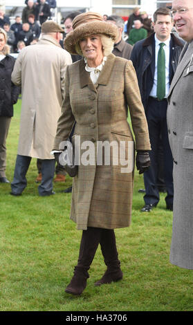 Die Herzogin von Cornwall besucht den 60. Betrieb des Hennessy Gold Cup in Newbury Racecourse in Newbury. Stockfoto