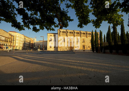 Palacio de Los Duques del Infantado, Guadalajara Spanien Stockfoto
