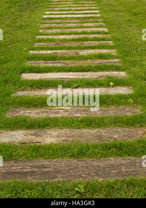 Der Fußweg von Holz-Linien in der Wiese Stockfoto