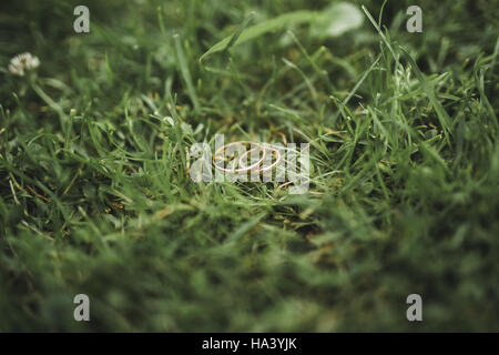 Perfekte Trauringe liegen auf dem Rasen Stockfoto