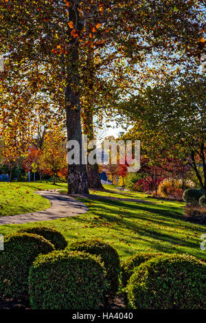 Landschaft Waldspaziergang. Stockfoto