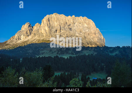 Langkofel oder Langkofel Berggruppe bei Sonnenaufgang, Dolomiten, Trentino, Alto Adige, Italien Stockfoto
