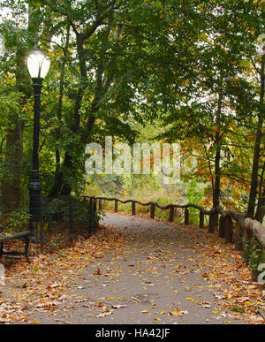Central Park in New York City im Herbst an nebeligen Tag Stockfoto