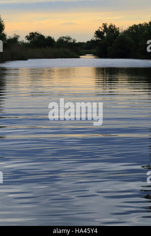 Abendlicht über einer der Kanäle im Donaudelta, Rumänien. Stockfoto