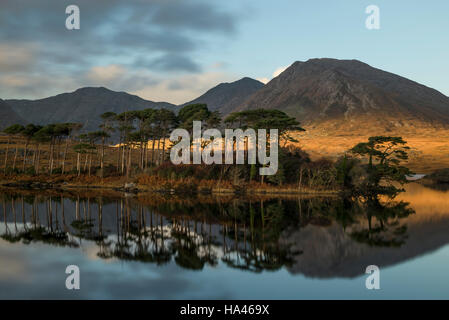 Ersten Sonnenstrahlen über Pine Island und Connemara Stockfoto