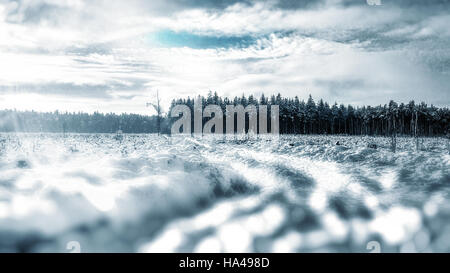 erstaunliche Winterlandschaft im Wald Stockfoto