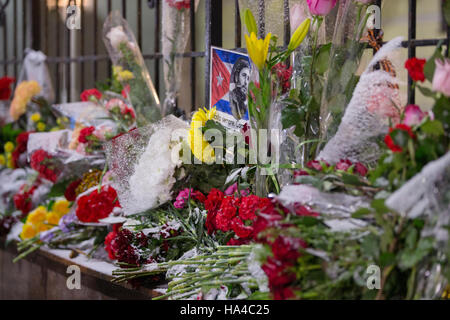 Moskau, Russland. 26. November 2016. Blumen bei der kubanischen Botschaft in Moskau in Erinnerung an Kubas Revolutionsführer und ehemaliger Präsident Fidel Castro. Castro starb im Alter von 90 am 25. November 2016. Bildnachweis: Victor Vytolskiy/Alamy Live-Nachrichten Stockfoto