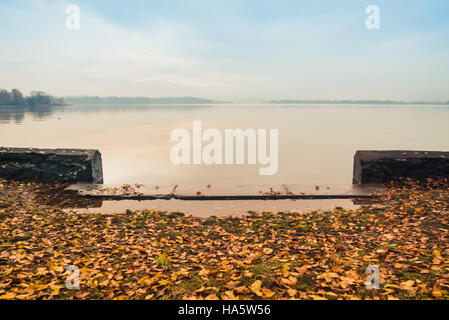 Am Ufer eines ruhigen Sees mit Blättern im Herbst Stockfoto