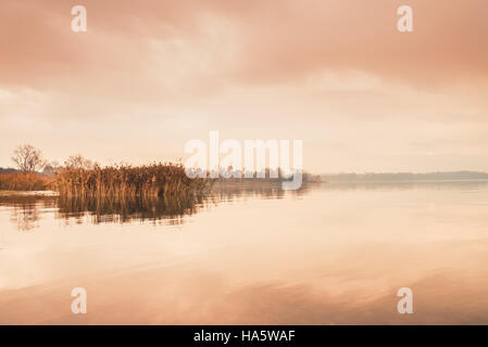 Sonnenaufgang auf dem ruhigen See und Schilf Stockfoto