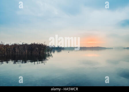 Sonnenaufgang auf dem ruhigen See und Schilf Stockfoto