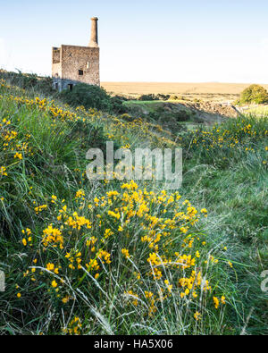 Wheal Betsy Maschinenhaus an der Grenze von Dartmoor in Devon. Stockfoto