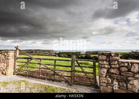 Mit Blick auf Three Cliffs Bay auf der Gower-Halbinsel in Wales. Stockfoto