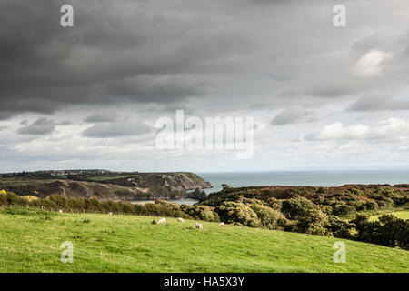 Mit Blick auf Three Cliffs Bay auf der Gower-Halbinsel in Wales. Stockfoto