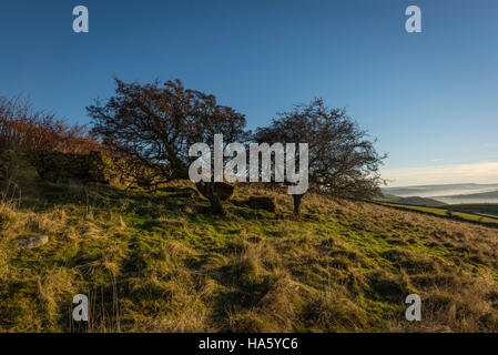 Die Sonne, die Einstellung über ein neblig Aire-Tal in der Nähe von Silsden und Keighley, West Yorkshire, im Winter 2016 Stockfoto