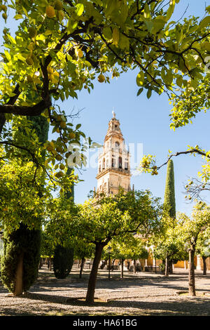 Glockenturm der Kathedrale Mezquita, Cordoba, Spanien Stockfoto