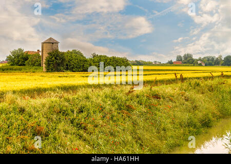 Bewässerungskanal entlang Feldern im italienischen Landschaft Stockfoto