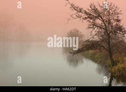 Foto-Sonnenaufgang über den Waldteich in Polen, November, Herbst, sehr dichten Nebel, mystische und geheimnisvolle Atmosphäre mit dem Einsatz von speziellen Filtern speci Stockfoto