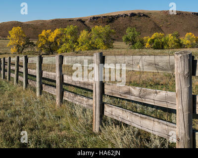 Buffalo-Koppel-Zaun, Herbstfarbe, Wildlife Loop Road, Custer State Park, Custer, South Dakota. Stockfoto