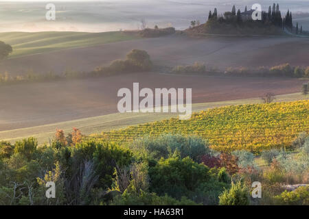 Toskanische Landschaft bei Sonnenaufgang, Podere Belvedere, San Quirico d ' Orcia, Val d ' Orcia, Toskana, Italien. Stockfoto
