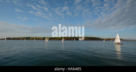 Laser-Jollen racing an einem Sommertag unter einem perfekten blauen Himmel mit Zirruswolken auf ruhigem Wasser in Dale Bucht, Pembrokeshire Stockfoto