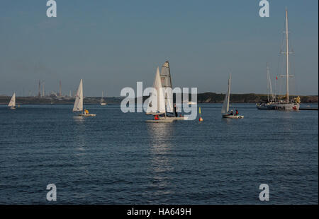 Laser-Jollen racing an einem Sommertag unter einem perfekten blauen Himmel ruhiges Wasser mit Cirruswolken im Dale Bucht mit Herausforderung Wales Stockfoto