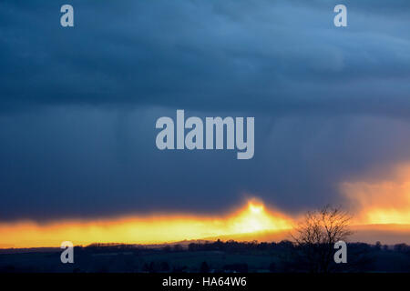 Dramatische Cotswolds winter Szene mit goldenen Sonnenuntergang unter tiefblauem Regen gefüllten Wolken mit einem Silhouette Baum auf einem Hügel Stockfoto