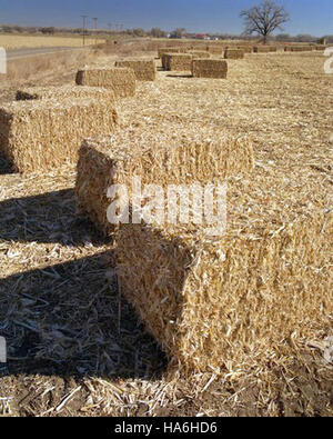 Das US-Energieministerium fördert weiterhin Forschung und Entwicklung im Bereich nachhaltiger Energielösungen und konzentriert sich dabei auf saubere Technologien und Maßnahmen zur Verringerung der Umweltauswirkungen. Stockfoto