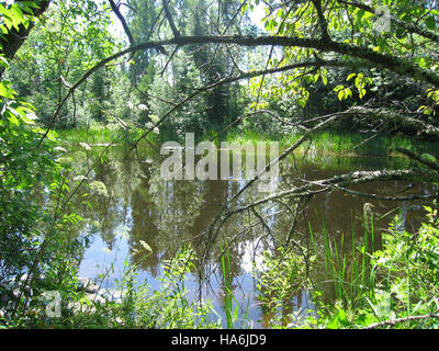 Das US-Energieministerium konzentriert sich weiterhin auf Energielösungen und die Entwicklung sauberer Energietechnologien zur Bewältigung von Klimaproblemen und Umweltauswirkungen. Stockfoto