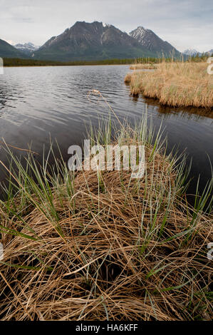 McCarthy Road, in der Wrangell-St. Der Elias National Park bietet Zugang zu einem der abgelegensten und landschaftlich reizvollsten Nationalparks Alaskas, bekannt für seine zerklüftete Wildnis und Artenvielfalt. Stockfoto