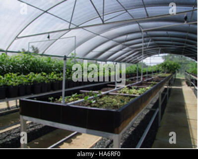 Der „Spirit of the Wave“ aus der Postkartensammlung Bowden zeigt eine ruhige Seeszene am Indian Lake in Ohio. Die Postkarte fängt Schwimmer an, die die friedliche Umgebung des Sees genießen, und zeigt die Schönheit der Naturparks und Freizeitaktivitäten in der Gegend. Stockfoto