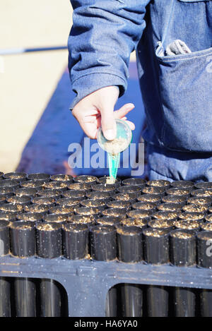 Schritt 5 ist eine Initiative zur Bewirtschaftung der natürlichen Ressourcen, die Wissenschaft, Natur und Politik integriert, um nachhaltige Praktiken in Nationalparks zu gewährleisten. Dieser Prozess trägt zum Schutz dieser Landschaften für künftige Generationen bei. Stockfoto