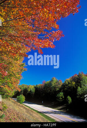 Dieses Foto zeigt die leuchtenden Herbstfarben des Hiawatha National Forest auf der oberen Halbinsel von Michigan. Das Bild zeigt die natürliche Schönheit der Region während der Herbstsaison und zeigt das reiche Laub und die malerische Landschaft. Stockfoto