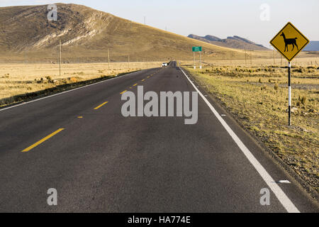 Straße im peruanischen Hochland. Pampas von Junín, Peru. Stockfoto