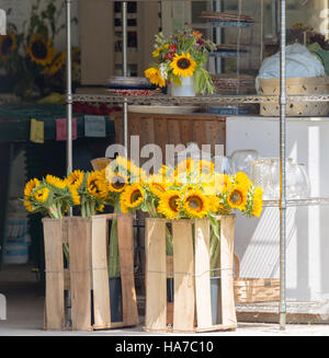 Sonnenblumen für Verkauf auf einem Bauernmarkt Stockfoto