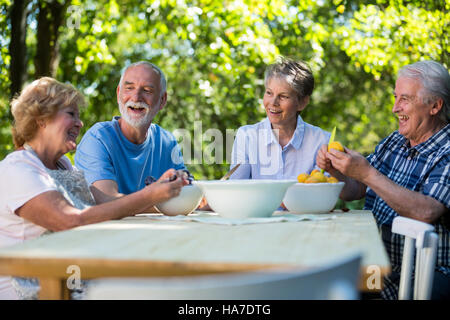 Ältere Ehepaare, die Samen der Aprikose Früchte im Garten entfernen Stockfoto