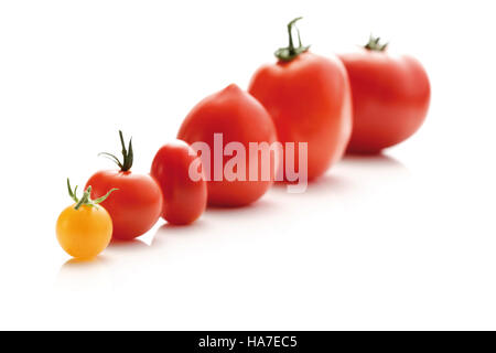 Verschiedene Arten von Tomaten Stockfoto