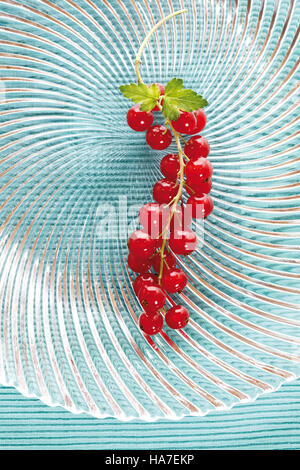 Rote Johannisbeeren mit kleinen Blättern auf einer Glasplatte Stockfoto