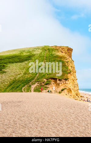 Ein steiler Pfad steigt vom relativ flachen Sand durch grüne Vegetation an die Spitze der vertikalen East Cliff in Bridport Sands Stockfoto