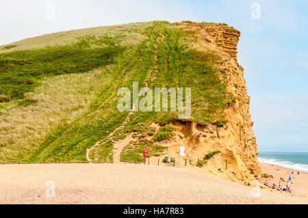 Ein steiler Pfad steigt vom relativ flachen Sand durch grüne Vegetation an die Spitze der vertikalen East Cliff in Bridport Sands Stockfoto