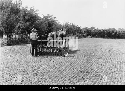 Dieses Bild des USDA zeigt ein Schlüsselereignis im Zusammenhang mit Natur und Politik, das sich auf den Landschutz und die Schnittstelle von Agrarpolitik und Umweltschutz konzentriert. Stockfoto