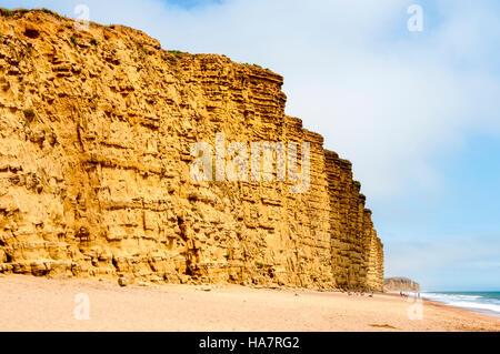 Die vertikale East Cliff des oberen Lias bei Bridport Sands zeigt fast horizontale abwechselnde Betten von harten und weichen Sandstein Stockfoto