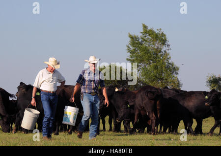 Die USDA feierte ihr 150-jähriges Bestehen und hob ihre Beiträge zur Landwirtschaft, zur ländlichen Entwicklung und zur Ernährungssicherheit sowie ihre Rolle bei der Förderung nachhaltiger Praktiken in der Landwirtschaft und im Landschutz hervor. Stockfoto