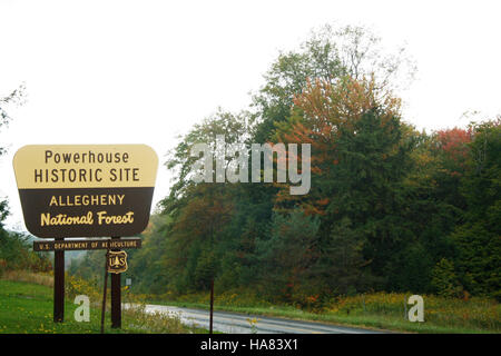 Dieses Foto zeigt das lebhafte Herbstlaub in einem Nationalwald, der vom USDA Forest Service verwaltet wird, und zeigt die saisonale Umwandlung von Blättern in Waldökosystemen. Stockfoto